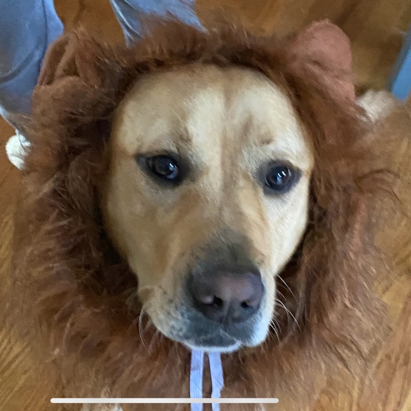 Meet your Posher, Justin - Picture 1 of 1